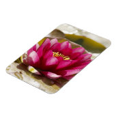 Waterlelie Magneet (Linkerzijde)