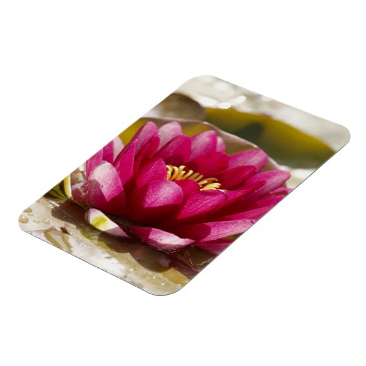 Waterlelie Magneet (Linkerzijde)