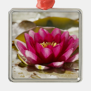 Waterlelie Metalen Ornament