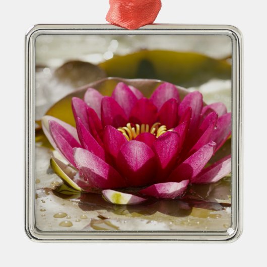 Waterlelie Metalen Ornament (Voorkant)