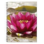 Waterlelie Notitieboek (Voorkant)