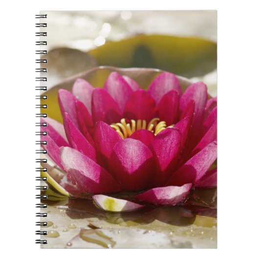 Waterlelie Notitieboek (Voorkant)