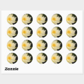 Waterlelie, Om stickers (Vel)