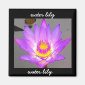 Waterlelie Paarse - Rand Magneet (Voorkant)
