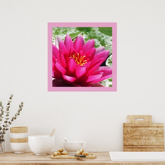 Waterlelie Poster (Keuken)