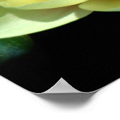 Waterlelie Poster (Hoek)