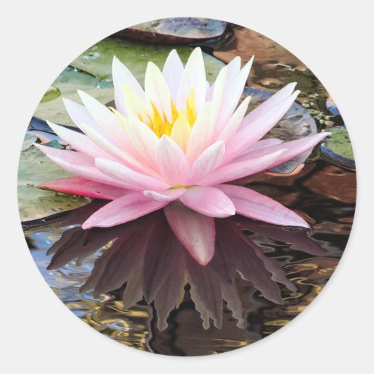 Waterlelie Reflecties Ronde Sticker (Voorkant)