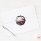 Waterlelie Reflecties Ronde Sticker (Envelop)