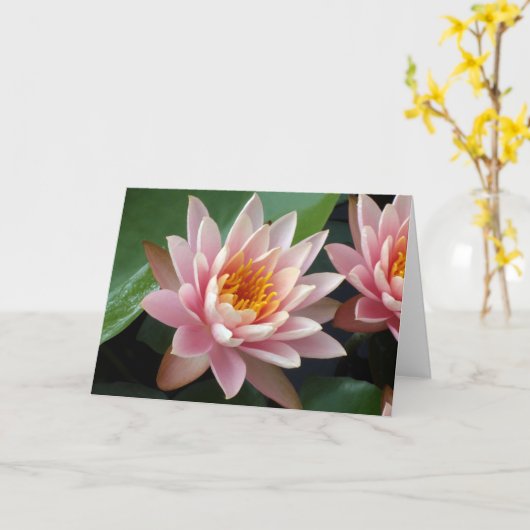 Waterlelie Schoonheidskaart Kaart (Gele Bloem)
