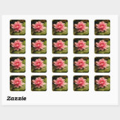 Waterlelie Sticker (Vel)