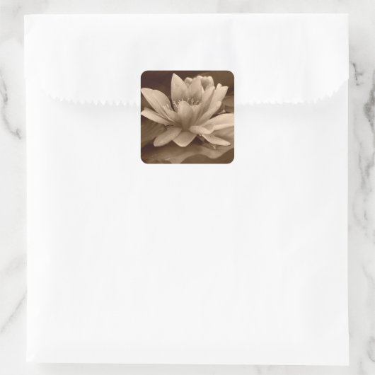 Waterlelie Sticker (Tas)