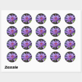 Waterlelie Sticker (Vel)
