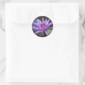 Waterlelie Sticker (Tas)