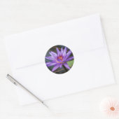 Waterlelie Sticker (Envelop)