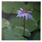 Waterlelie Tegeltje (Voorkant)