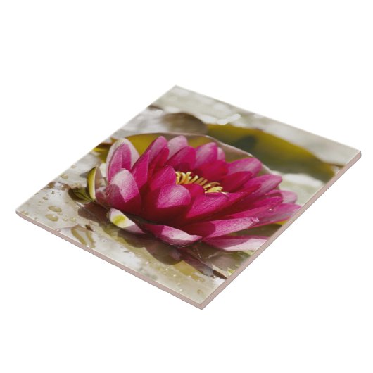 Waterlelie Tegeltje (Zijkant)