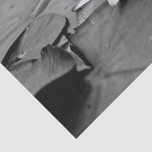 waterlelie tissuepapier (Detail)