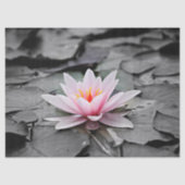 waterlelie tissuepapier (Voorkant)