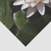 Waterlelie tissuepapier (Detail)