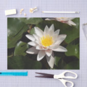 Waterlelie tissuepapier (Craft)