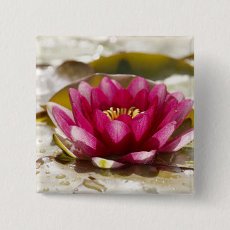 Waterlelie Vierkante Button 5,1 Cm