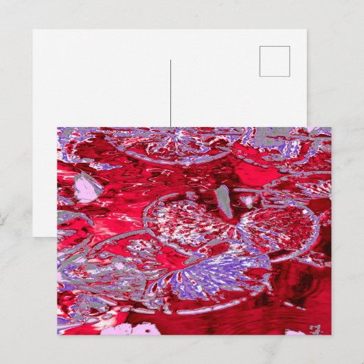 WATERLELIE VIJVER BRIEFKAART (Voorkant / Achterkant)