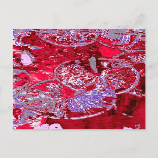 WATERLELIE VIJVER BRIEFKAART (Voorkant)