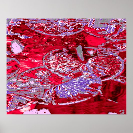 WATERLELIE VIJVER POSTER (Voorkant)