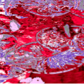 WATERLELIE VIJVER SLEUTELHANGER