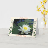 Waterlelie wordt beter kaart (Gele Bloem)