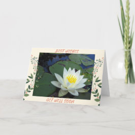 Waterlelie wordt beter kaart