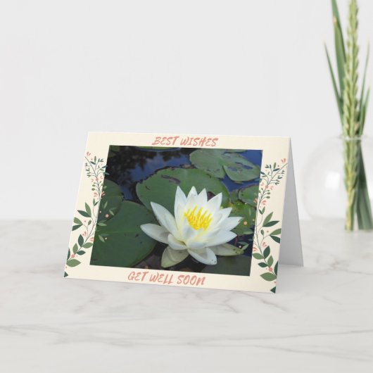 Waterlelie wordt beter kaart (Voorkant)