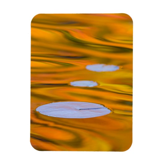 Waterlelieblad op oranje water, Canada Magneet (Verticaal)