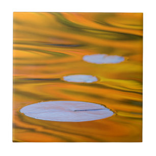 Waterlelieblad op oranje water, Canada Tegeltje