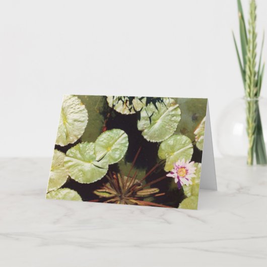 Waterlelies 02 kaart (Voorkant)