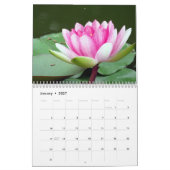 Waterlelies 2027 kalender (Jan 2027)