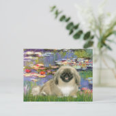 Waterlelies 2 - Pekingees 1b Briefkaart (Staand voorkant)