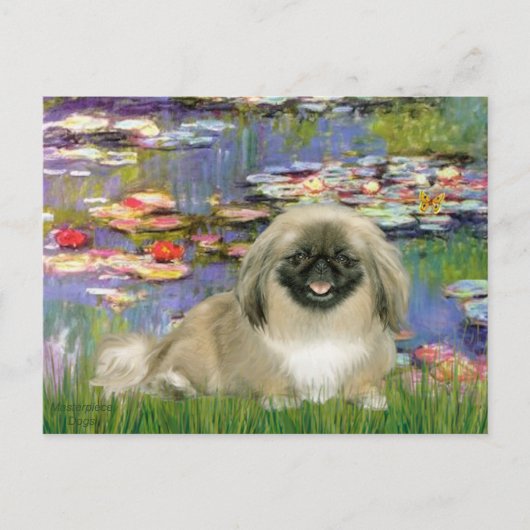 Waterlelies 2 - Pekingees 1b Briefkaart (Voorkant)