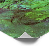 Waterlelies 7 poster (Hoek)