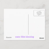 waterlelies bloeien briefkaart (Achterkant)