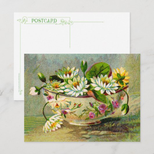 Waterlelies Briefkaart (Voorkant / Achterkant)
