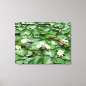 Waterlelies Canvas Afdruk (Voorkant)