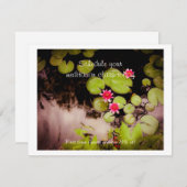 Waterlelies en koivijver kaart (Voorkant / Achterkant)