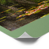 Waterlelies Foto Poster (Hoek)