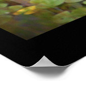 Waterlelies Foto Poster (Hoek)