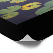 Waterlelies Foto Poster (Hoek)