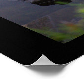 Waterlelies Foto Poster (Hoek)