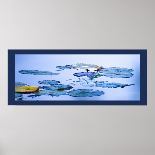 Waterlelies Foto Poster (Voorkant)