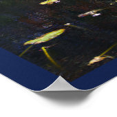 Waterlelies Foto Poster (Hoek)