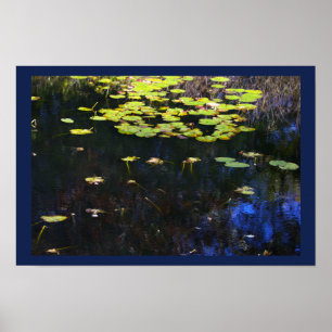 Waterlelies Foto Poster